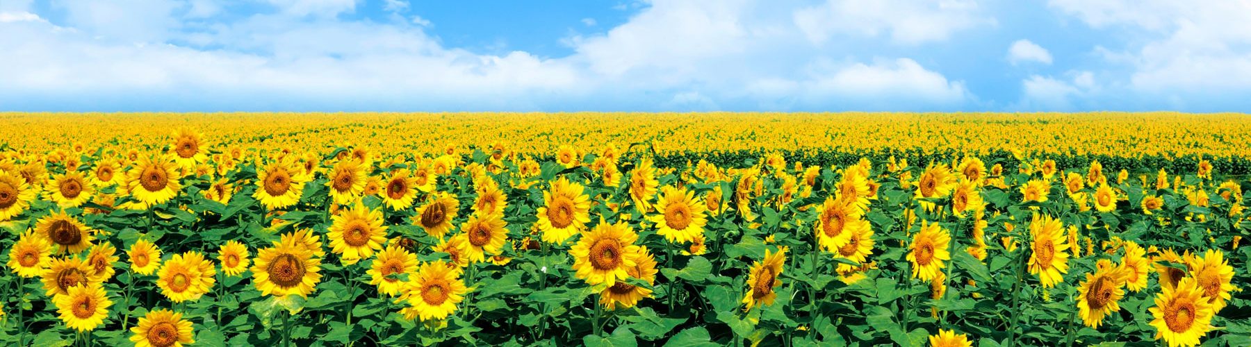 訪問看護ステーションソレイユHOME